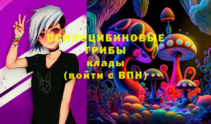 Галлюциногенные грибы Magic Shrooms  Александровск-Сахалинский 